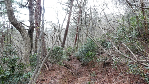 ここだけえぐれてる