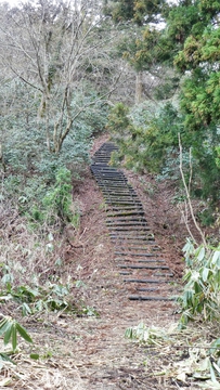 この階段を上がっていく