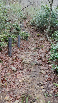 徐々に傾斜が上がり・・・