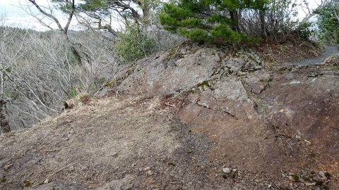 登りきりました
