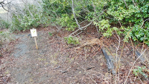 DANGERの看板の先は有名な「のぞき」