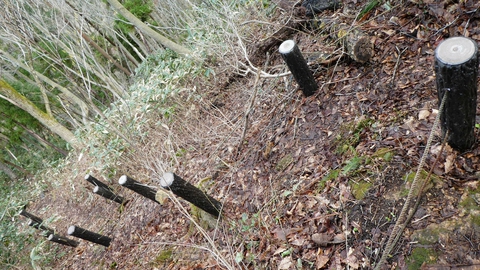 ここは階段がなくやや急なので足元注意