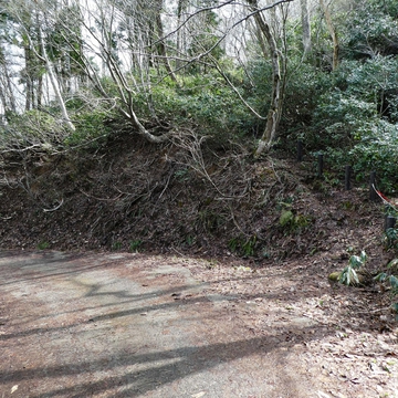 舗装路に降り立つ。後ろは池なので寄り道するのもいい
