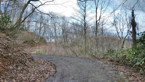 風合いのあるアスファルトを下る