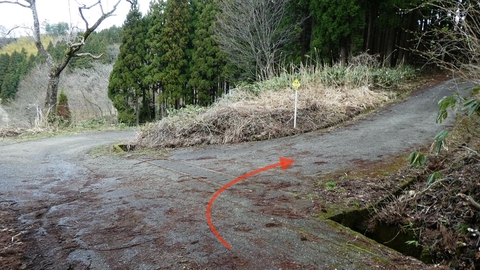 ここを右折でスタート地点に戻り方向