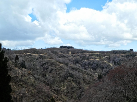 向かい側の山。造林路が蜘蛛の巣の様