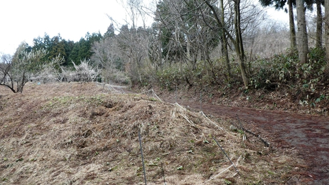 もうひとのぼり