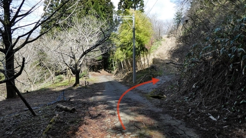 すかさず右折し林道へ