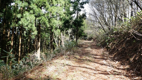 フラットな未舗装路へ。ここを走りたかった