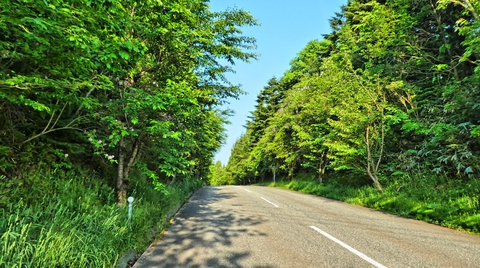 海への最後(から2番め)の峠