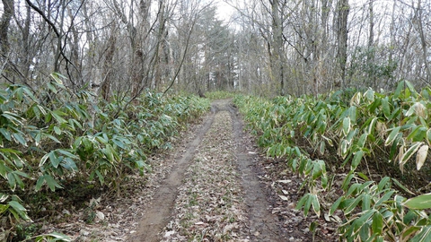 フラットで気持ち良し