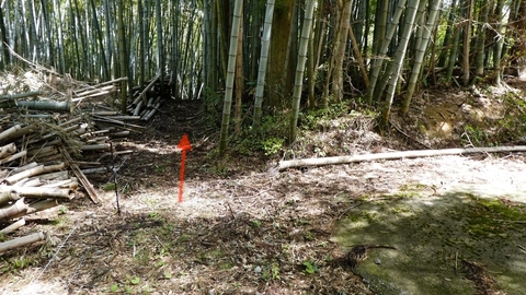 狭いが直進。左の線はイノシシ避けの電線なので慎重にすぐに道は広くなる