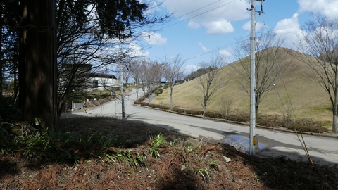 内川墓地公園に帰ってきた