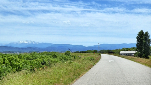 遠く白山に向かって
