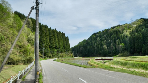 広い道。右の山の上に鉄塔南福岡線が見える