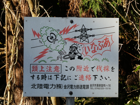 こちらは腕金が4本。ドナウ型か？