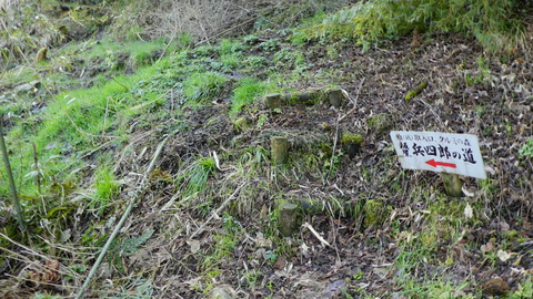 苔むした階段