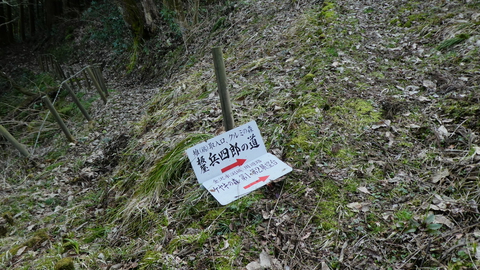 看板が外れている。どっちだろう？