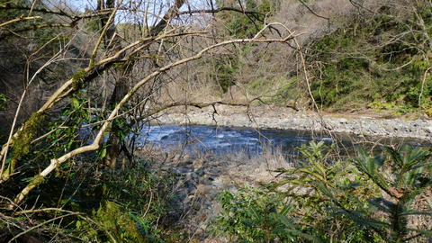 ちょっと藪気味だが沢にも降りれる