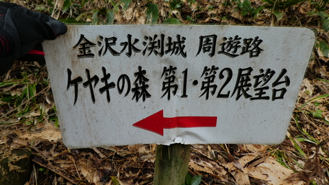 ケヤキの森と展望台の看板。