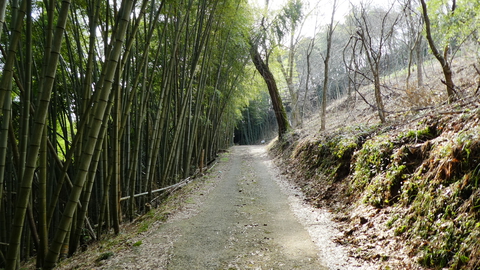 気持ちのいい竹林を進む。ここは地図に出てる道