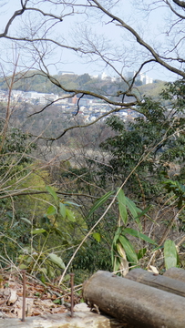辰巳高校と金沢学院の山