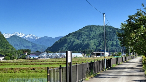 田園風景を釜清水へ南下。左奥に白山が見え始める。一番手前のコブは岳峰、左の三角が笠山でその右が高倉山