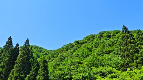 高野山と揚原山。丁度間の谷間まで自転車で登れる