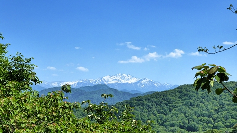 上りきると左に白山の姿が