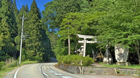 坪野の町の八幡神社 長い階段が見える