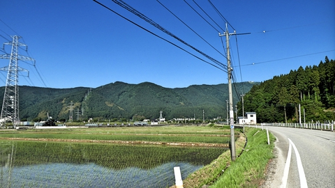 天狗橋までもうすぐ。車に気をつけて