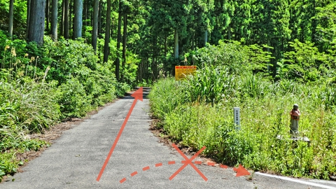 ここで県道43号は行き止まり。林道赤倉線へ