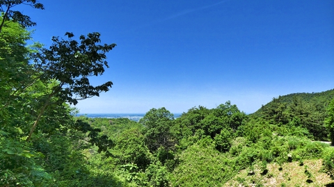 足慣らしの軽いヒルクライム。後ろに海が