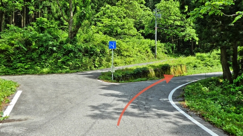 わかりにくい分岐。国道416号は右側が正解