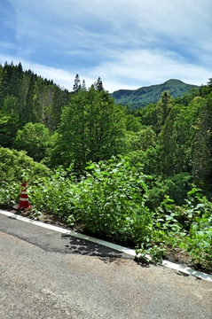 大日山がちらりと見える