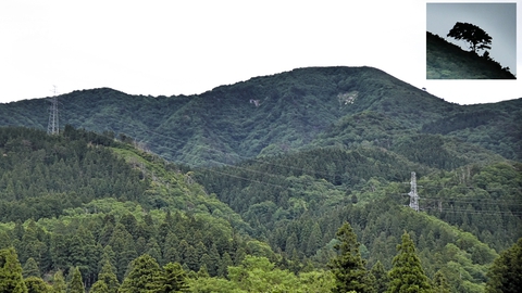右に見えるのは火燈山、気になる突起は樹木だった