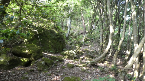 大きな岩を左に上がれば看板と洞窟入り口が見える。