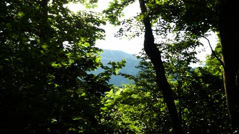北にちらりと見えるのは動山かな？