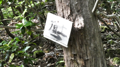 頂上の看板に従い右に巻いていく