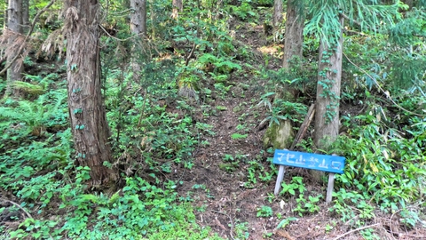 マセ山登山口 貸田口(南側) こちらが楽なのでおすすめ