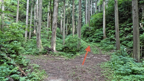 分岐があるので真っ直ぐ