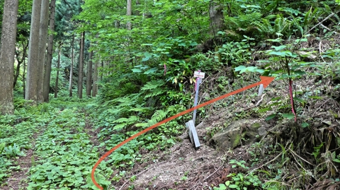 いくつか登り口のような道があるが鉄塔巡視路の札の所が正解
