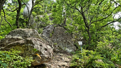 巡視路18番分岐。ここからは左の岩を登っていく