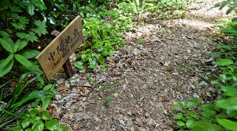 中間地点の札。Halfway Point
