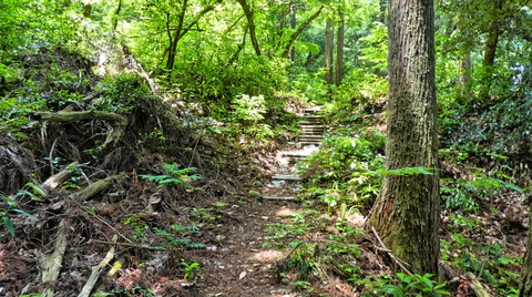登山道風のショートカット