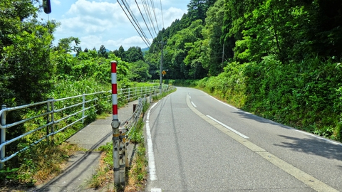 大聖寺川沿いを走る