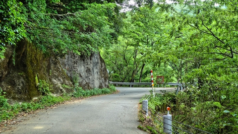 湖畔沿いの静かな道。フラットで走りやすい
