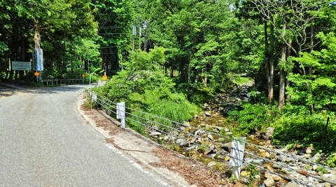 ここからは杉木川沿いを登っていく