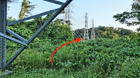 先には1番鉄塔が見える。草をかき分けて