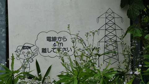 電線から4m離してください